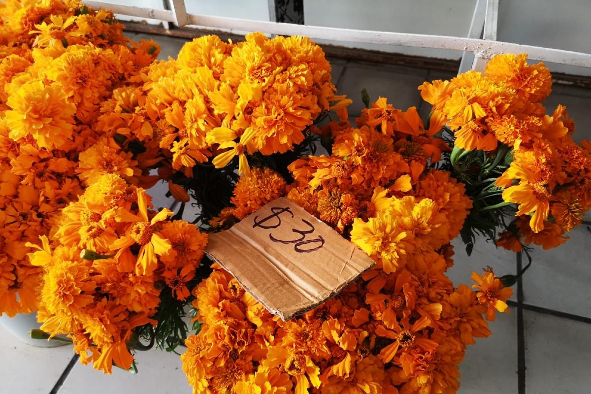 Prevén aumento de costo de las flores para este Día de Muertos en Fresnillo