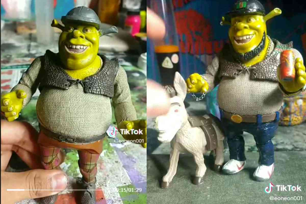 TikTok Shrek buchón