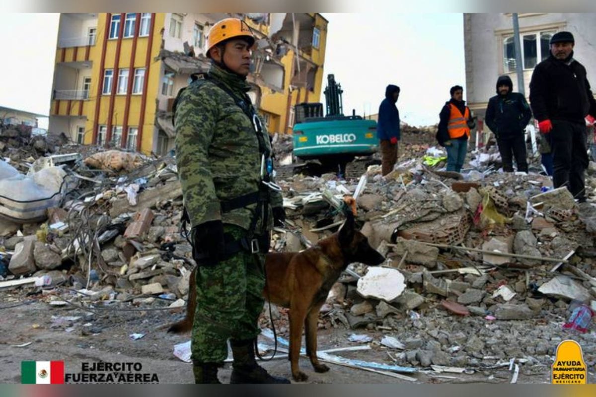 La Sedena, informó en sus redes sociales, el sensible fallecimiento de 'Proteo' binomio canino que estaba cumpliendo labores de rescate en Turquía.
