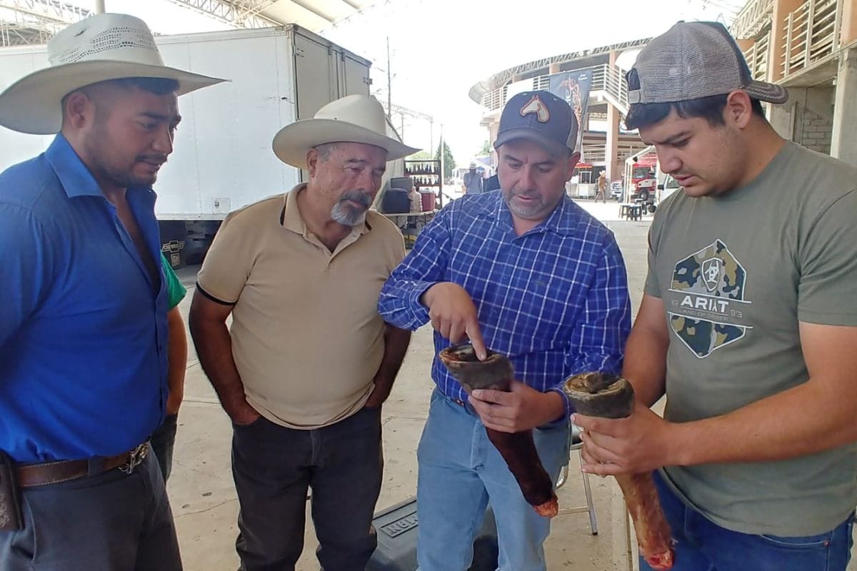El departamento agropecuario a cargo de Alberto Murillo, impartió dos cursos uno de Herraje y otro de Doma Natural de Equinos.