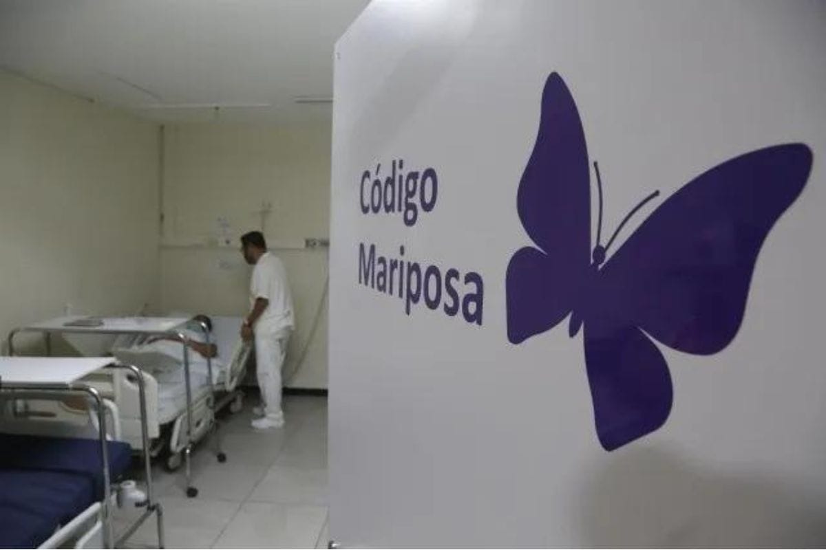 La diputada federal del PRI, Mariana Nassar Piñeyro, promueve una proposición con punto de acuerdo; para que el sector salud del país cree un "Código Mariposa"