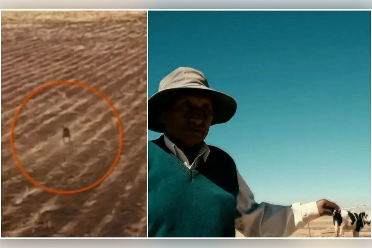 En unos campos de cultivo de Bolivia, un dron logró captar a una extraña criatura encorvada sobre dos patas; y aunque en un principio los habitantes del lugar creyeron que se trataba de un perro