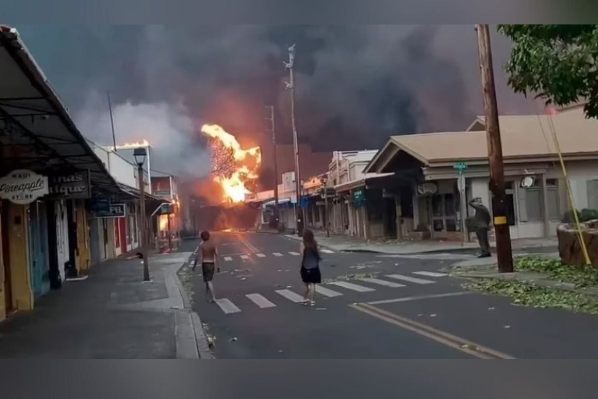 Con angustia y desilusión llegaron ayer residentes de una localidad del archipiélago estadunidense de Hawái; que encontrando sus casas reducidas a cenizas por un devastador incendio forestal.