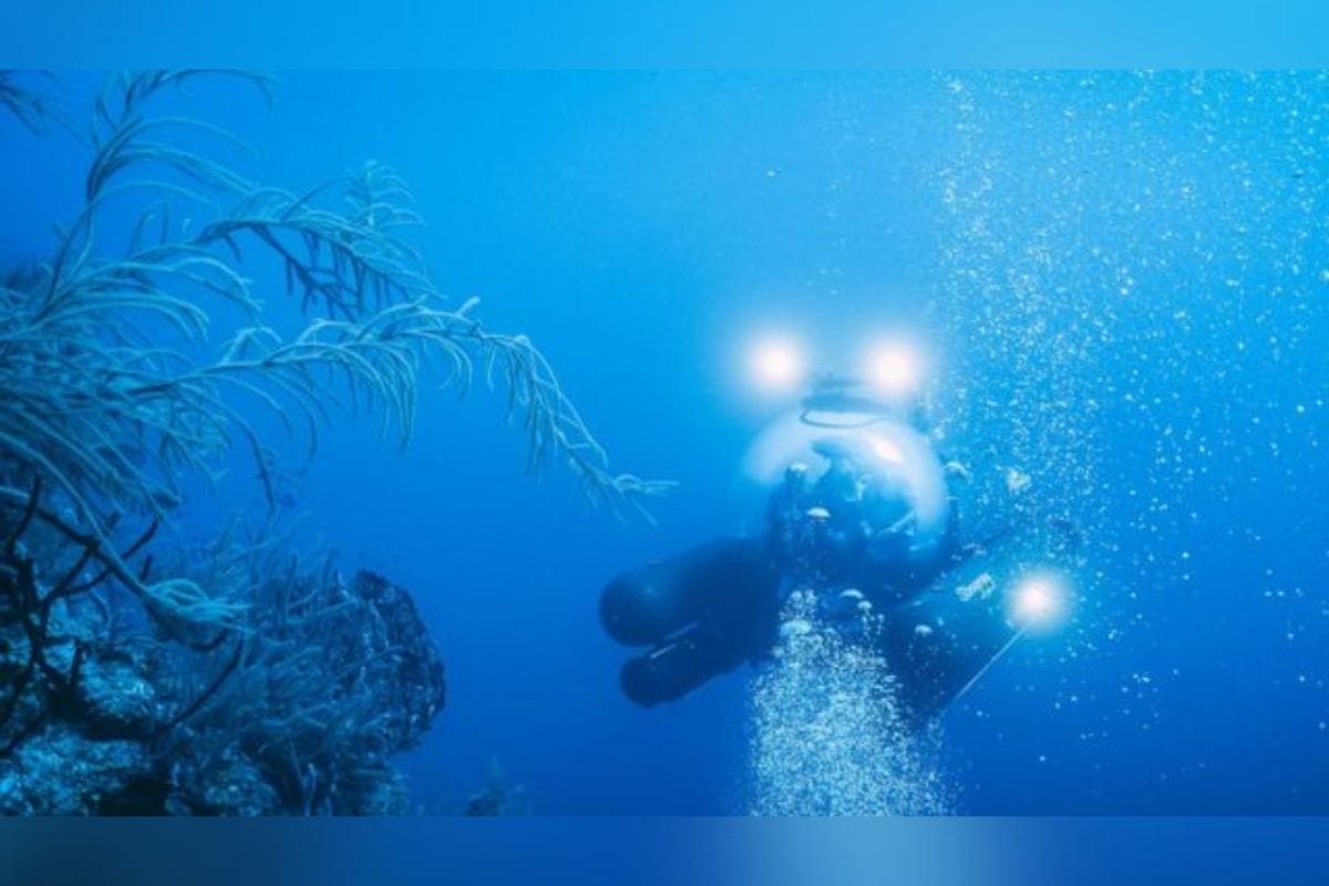 Un grupo de buzos que logró llegar al fondo del Gran Agujero Azul de Belice hizo un inquietante descubrimiento que los dejo perplejos.