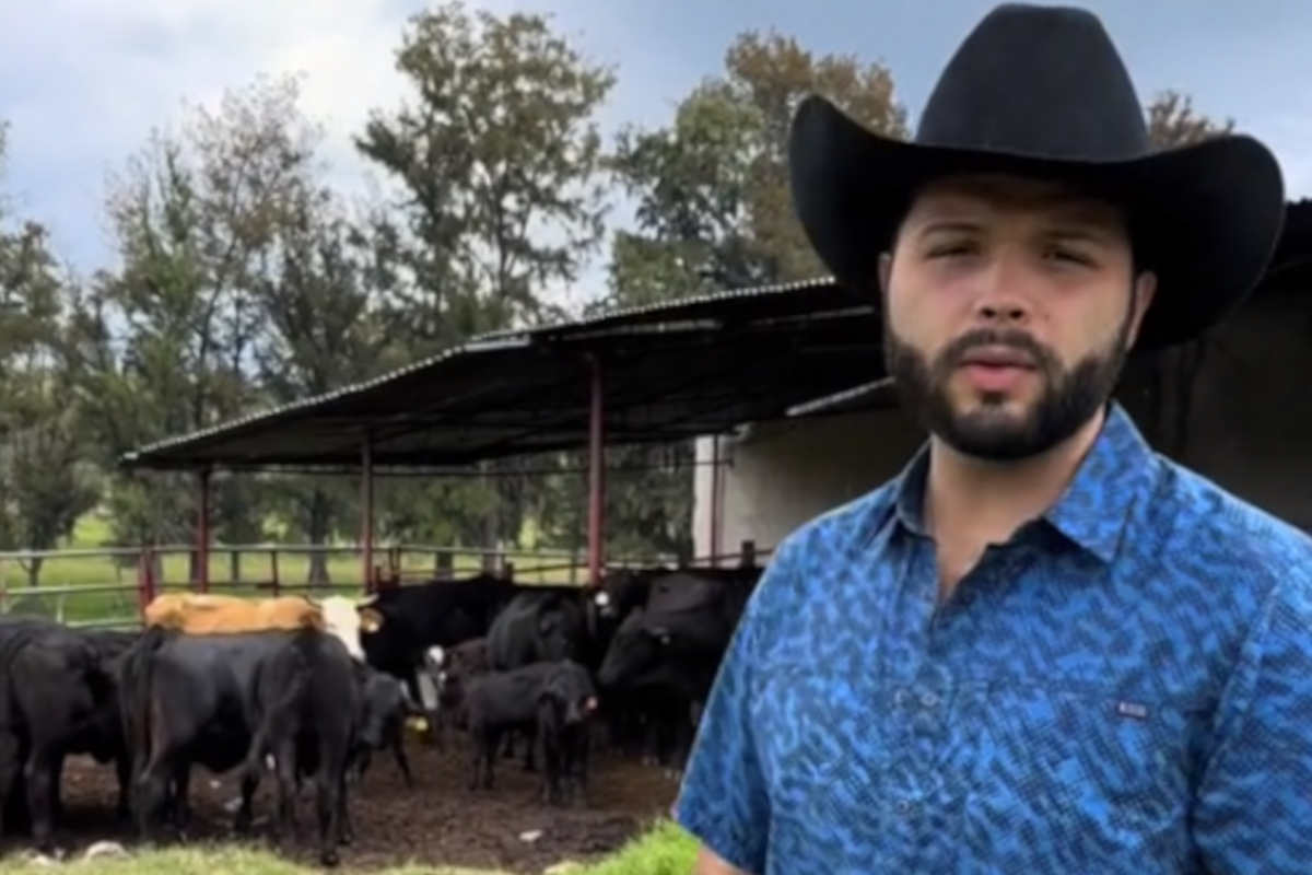 Leonardo Aguilar enseña su ganado en redes es interesante verlas y decir eres mi vaca