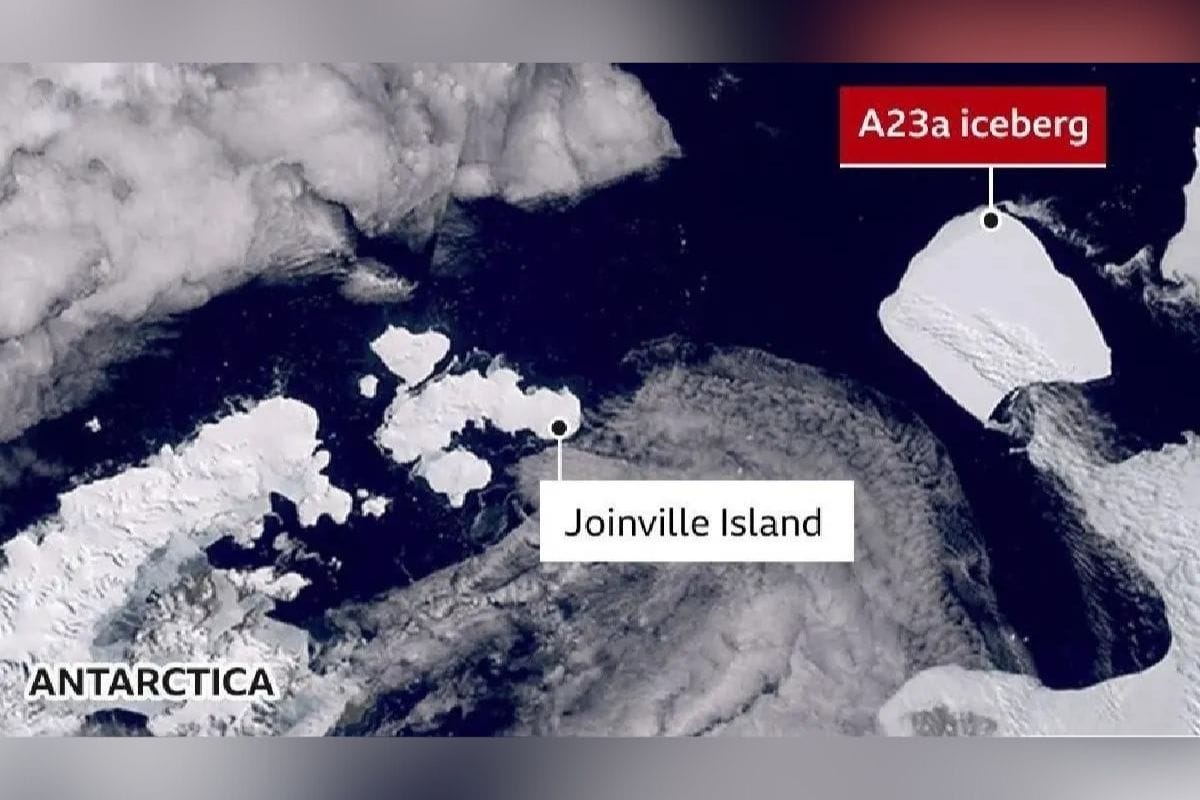 Un gigantesco iceberg antártico cinco veces el tamaño de la ciudad de Nueva York se está alejando de la plataforma de hielo continental.